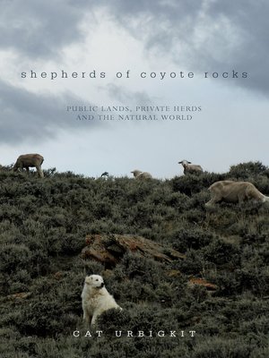 cover image of Shepherds of Coyote Rocks